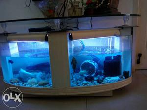 Aquarium imported- coffee table
