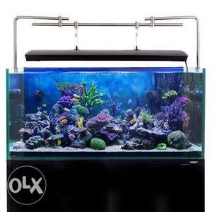 Aquarium shop wholesale