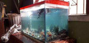 Aquarium with all decoratives bubble machine