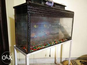 Aquarium with stand and under water stones dimensions