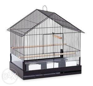 Bird Cage Fore Sale