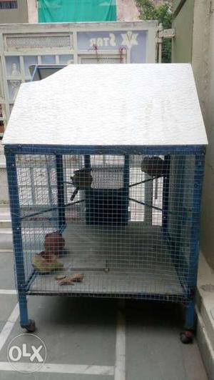Bird's Cage, Made of iron & gypsum board.
