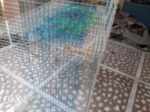 Birds cage with 3 portions