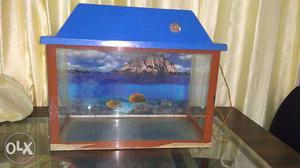Blue And Red Fish Tank