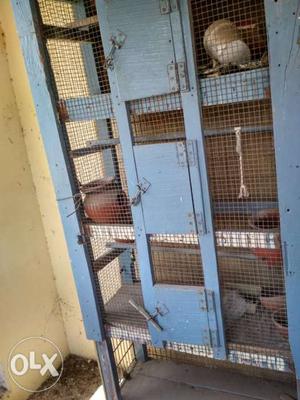Blue wooden birds cage
