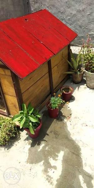 Brown And Red Wooden Dog House