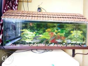 Brown House-framed Fish Tank