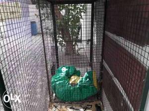 Cage for dogs heavy iron cage only serious buyers
