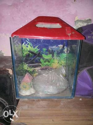 Clear Fish Tank With Red Frame