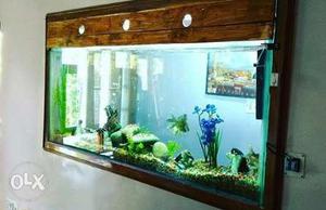 Deals in all kinds of fish tanks and their