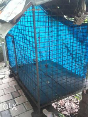 Dog Cage For Sale. Selling Because New Cage Made.