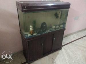 Fish aquarium for sale good condition and at very