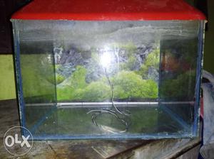 Fish tank new urgent sell