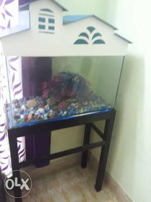 Fish tank with wooden stand & cover
