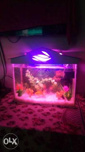 Good condition fish tank.. only onemonth used...