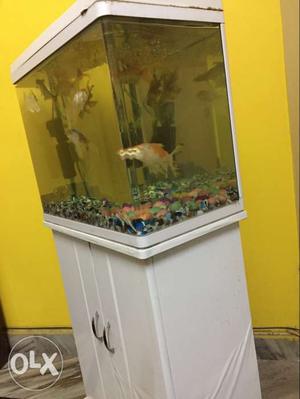 I want to sell my fish tank with cabinate in good condition.