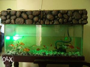 My fish tank for sale 4 feet tank with full sets