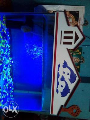 New fish tank with top+motor+ stones+trees for