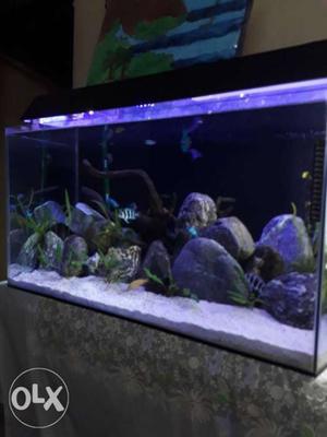 Only Aquarium and cover for sale 36x18x18