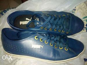 Pair Of Blue Converse Low-top Sneakers