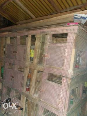 Pink And Brown Wooden Chicken Cage