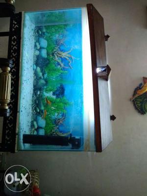 Rectangular Brown House-framed Fish Tank with stand