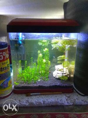 Small size molded planted Aquarium for sale.