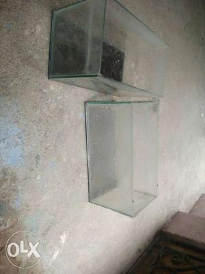 Two Clear Fish Tank