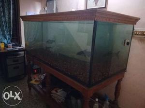 Very Big Aquarium+ lid + Aquarium stand + fancy