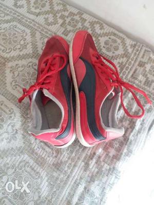 Canvas red shoes size 7 UK looking good for men's