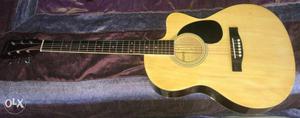 Havana guitar in working condition with cover