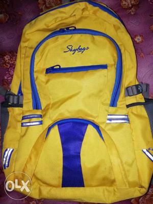 BAGPACK by Skybags! Standard size. In good