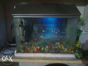1.5feet aquarium with pump, stone heater,