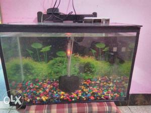 2 feet by 1 feet fish tank set with sponge filter and