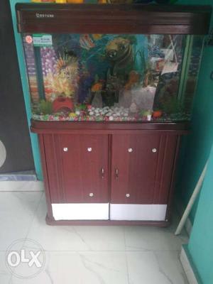 6 mant old aquarium 2.5 fit  new condition