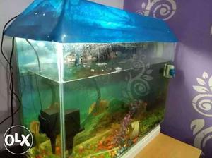 Aquarium 2.5ft with fishes