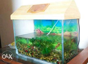Aquarium with air pump, pebbles. Size 18 inchX11 inch,