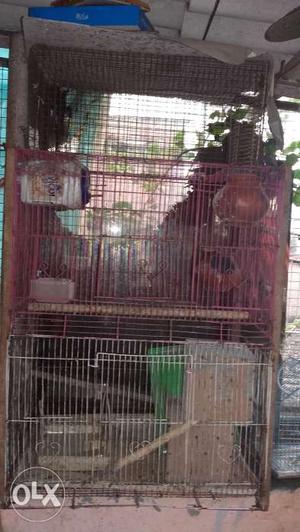 Big cage with house and water feeder