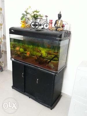 Entire Fish Tank