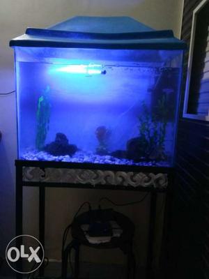 Fish Aquarium IN Good Condition with stand