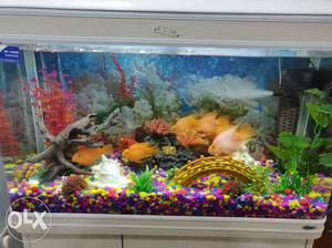 Fish Aquarium for sale,kept very clean and