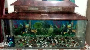 Fish aquarium new condition only 3 months use size 
