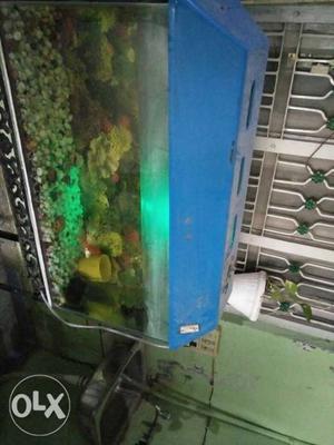 Fish aquarium with filters stones 2fish heater