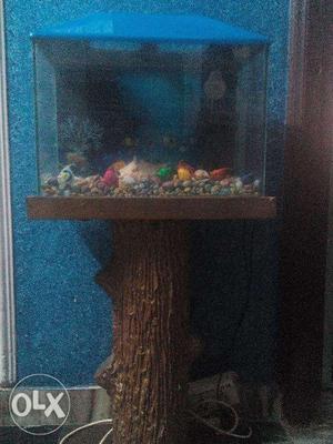 Fish aquarium with stand
