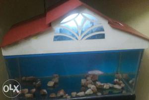 Fish tank & top, net 18inch very good condition