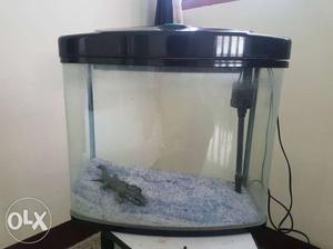 Fish tank with filter and motor