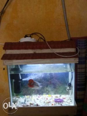 Fish tank with top and stand.