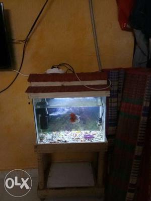 Fish tank with top,stand,light,stone,filter.(no fish)