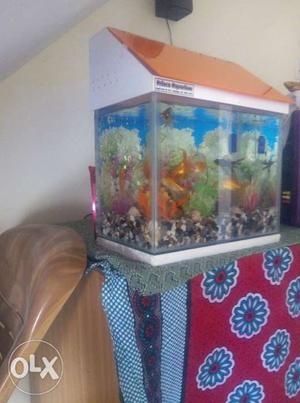 Home Running aquarium to sell Without fish, b'cuz