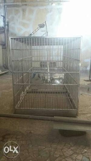 Huge Bird Cage for Sale Specifications: L x W x H